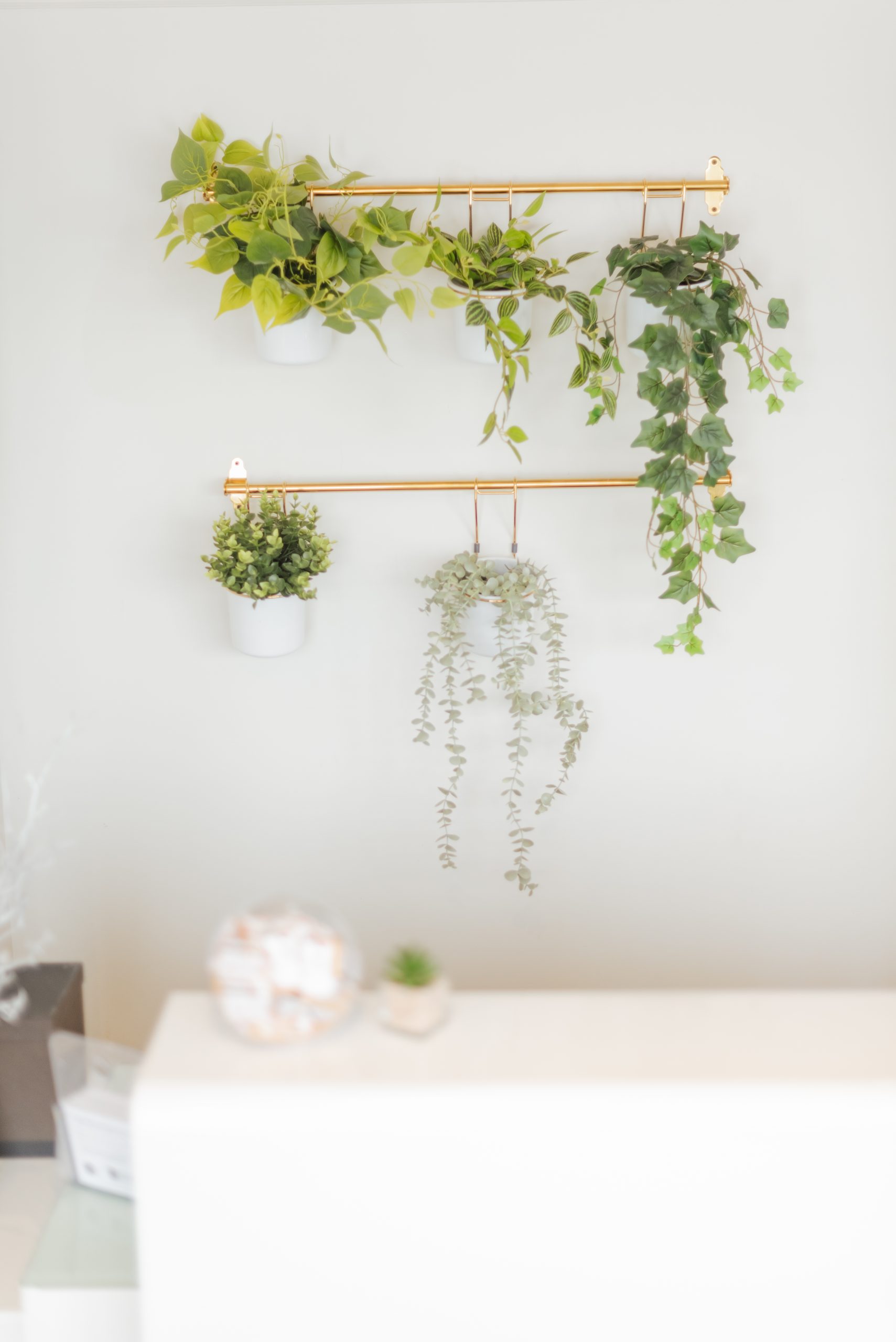 new path spa gallery 24