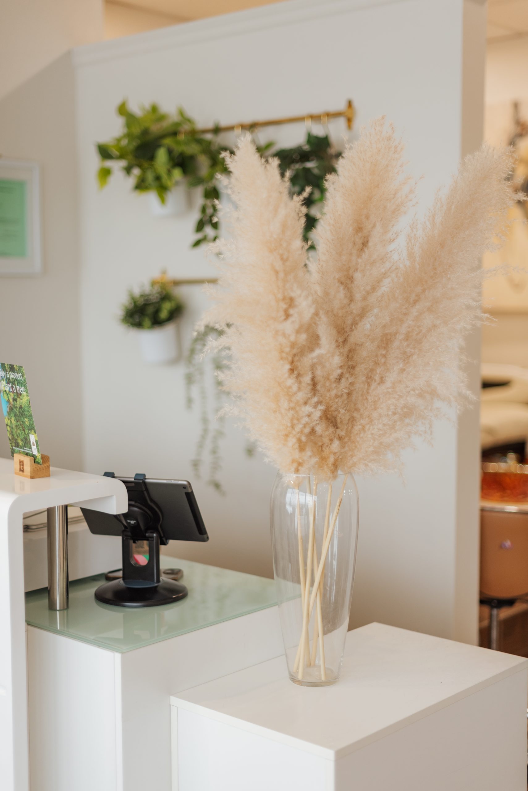 new path spa gallery 25